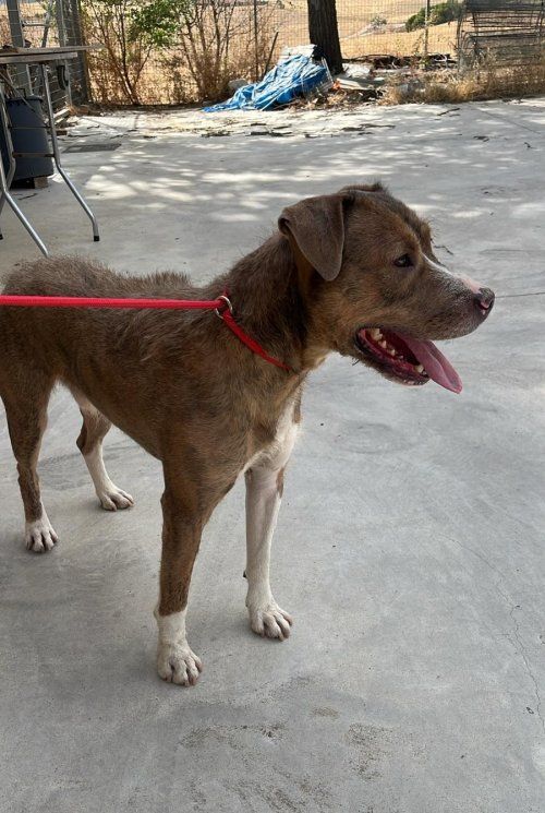 PHOTO 2025 09 03 17 10 43