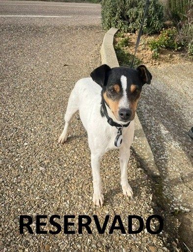 photo 2024 12 18 12 49 17