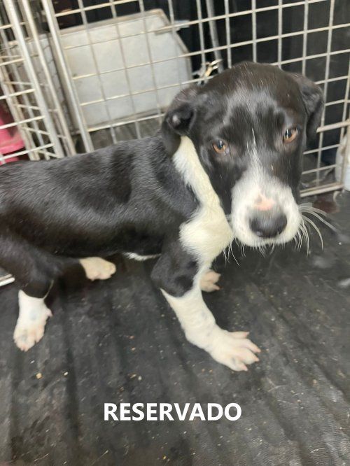 photo 2025 02 18 12 07 25