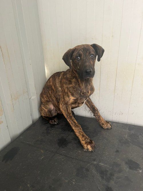 PHOTO 2025 07 22 15 32 26