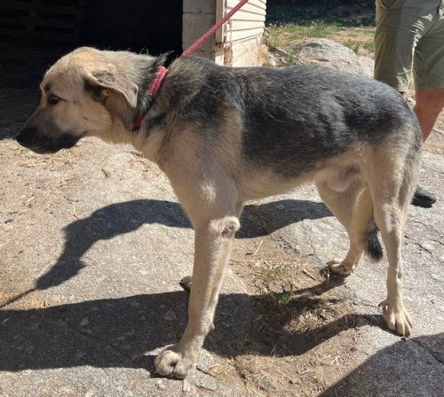 5dc2d409 6b0c 4dd7 9dc8 1f54f0855209