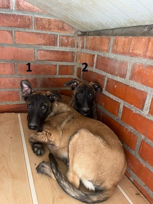 PHOTO 2025 09 23 13 55 43