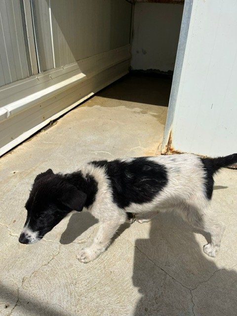 PHOTO 2023 03 22 13 28 14