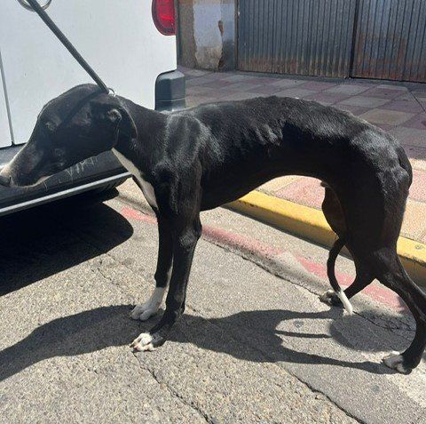 PHOTO 2024 07 08 12 36 05