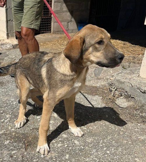 1d1e8834 05e1 438d b9d1 19396974cfb4