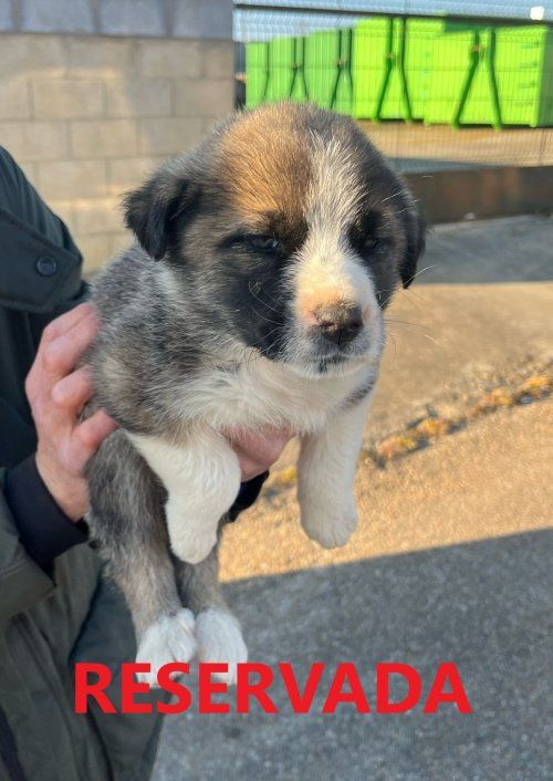 photo 2025 03 27 18 32 58