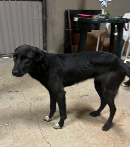 f8d12d46 f459 49b4 97ee 9d5563339148