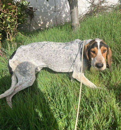 PHOTO 2025 04 02 10 54 53