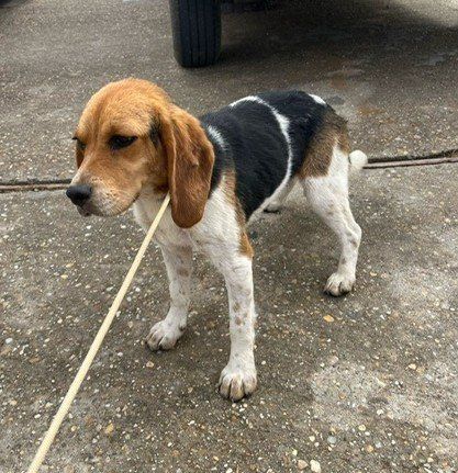 PHOTO 2025 04 12 11 21 17