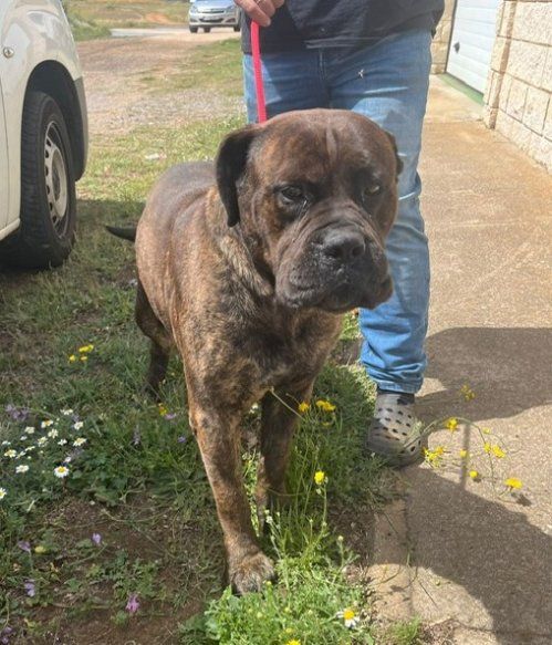 PHOTO 2024 06 27 12 40 54