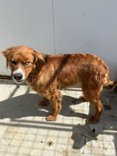 PHOTO 2023 03 22 13 27 45