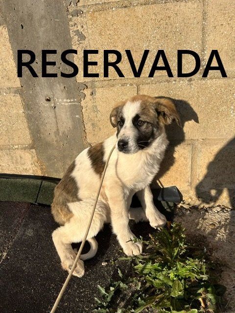 photo 2025 03 27 18 32 11