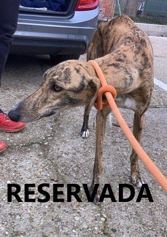 photo 2024 12 21 13 05 21