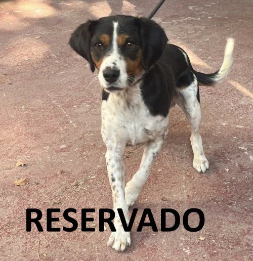 a34bce5a ac05 43a5 ae32 6d685d9ba00e