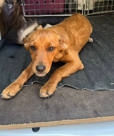 PHOTO 2024 08 21 13 30 49corre