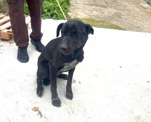 PHOTO 2025 01 29 11 37 42