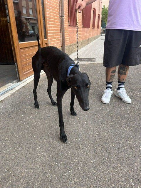 PHOTO 2025 09 12 13 57 15