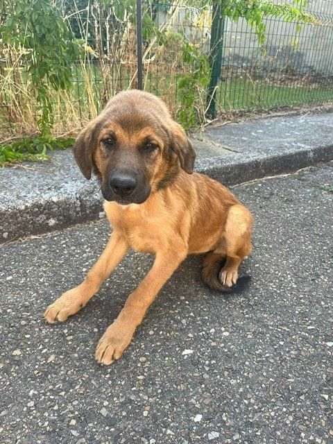 PHOTO 2025 09 04 11 23 22