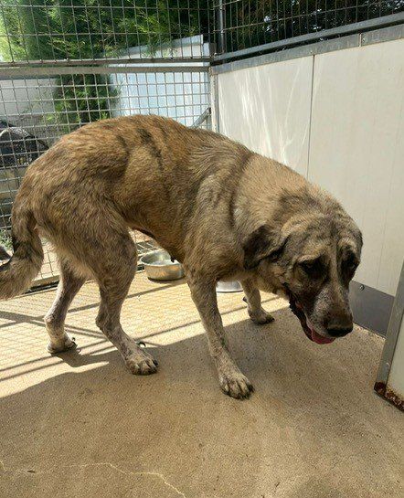 PHOTO 2024 07 25 13 56 04