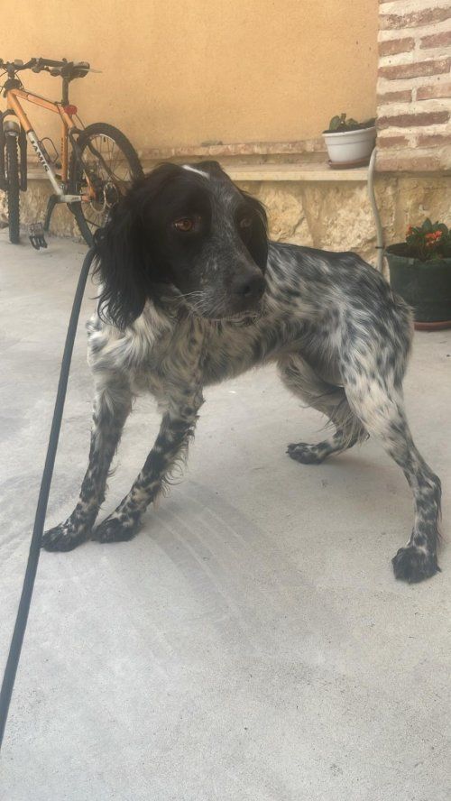 PHOTO 2025 08 27 12 43 59