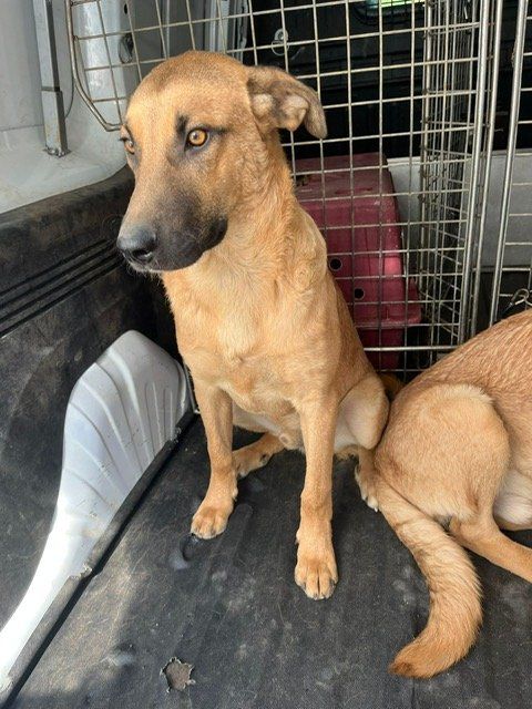 PHOTO 2025 09 18 10 56 39