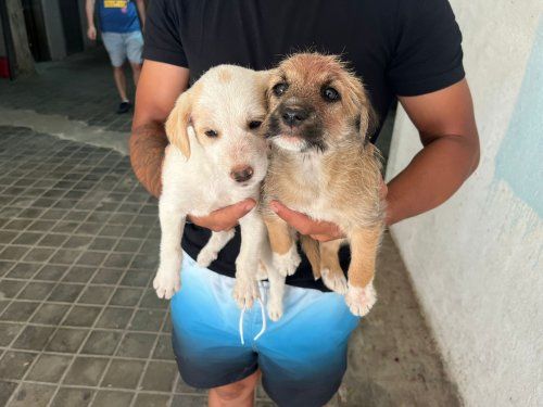 PHOTO 2024 07 16 13 46 51