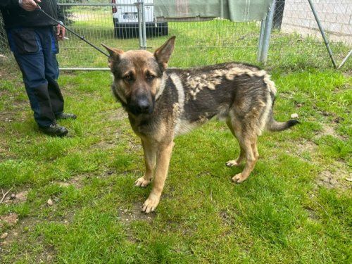 e2f46101 670e 4d66 81b8 3ccc1b418e2d