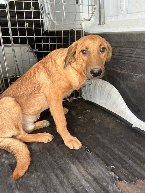 PHOTO 2025 09 18 10 56 38