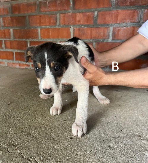 PHOTO 2024 04 30 14 30 22