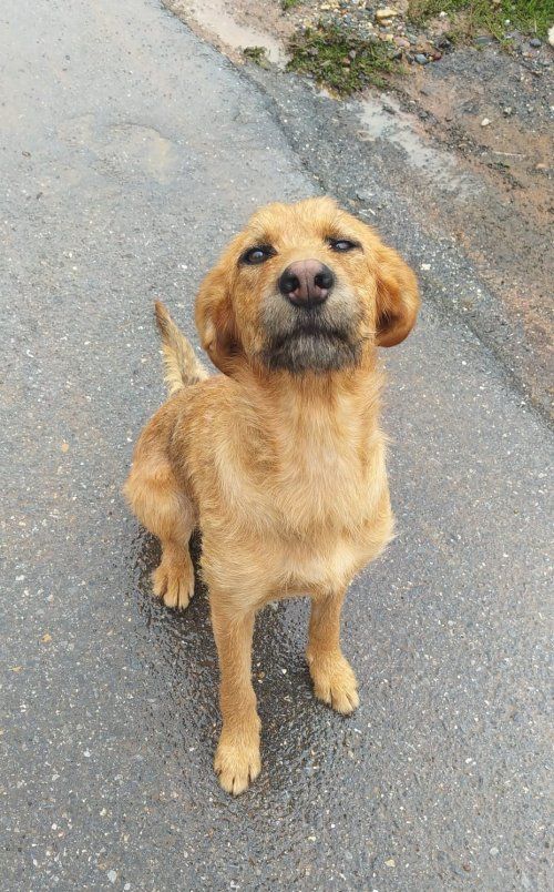 WhatsApp Image 2021 09 28 at 3.23.26 PM