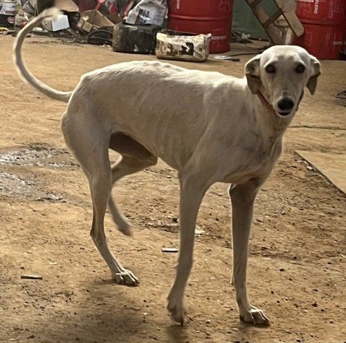 c717da91 6f48 4c90 ade0 5805917c7186