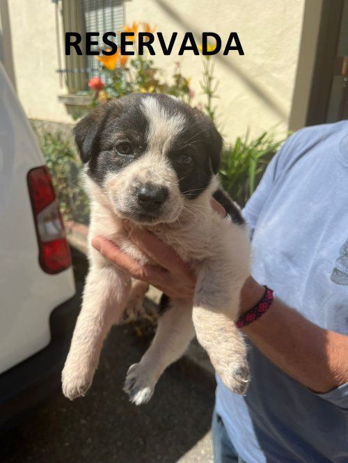 photo 2024 07 12 12 35 35