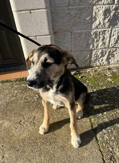 PHOTO 2022 11 29 10 39 44