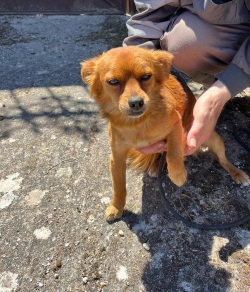 PHOTO 2024 05 10 12 56 54