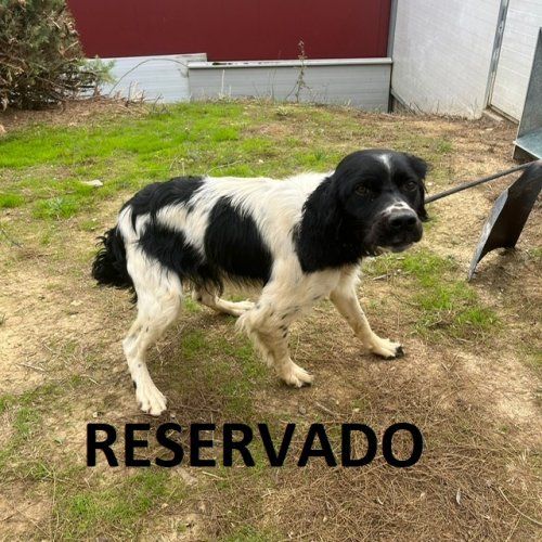 photo 2024 10 29 13 57 57