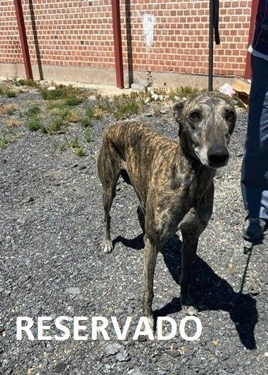 ab224967ea13a966062056ccbbc8f43dc65affa3