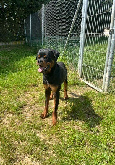 PHOTO 2025 05 21 12 01 21