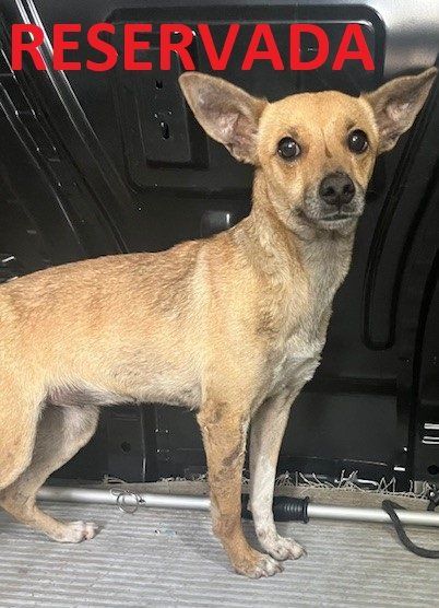 449600395 491811303368244 539412957077084016 n