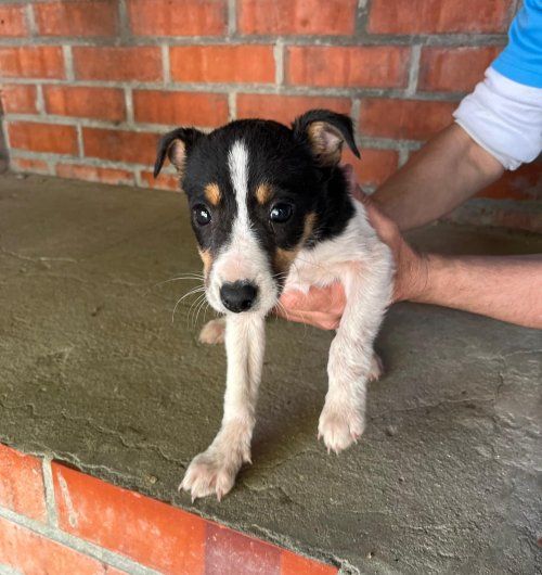 PHOTO 2024 04 30 14 30 55