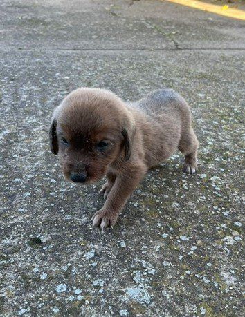 PHOTO 2024 10 21 11 06 12