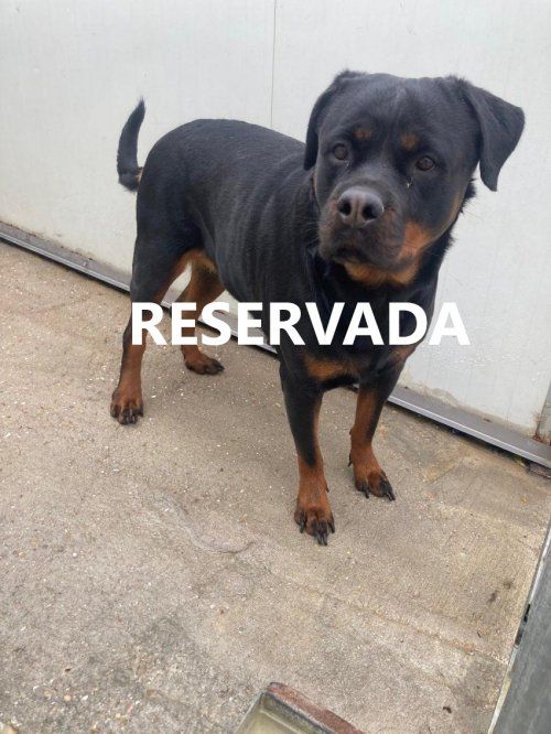 photo 2025 02 04 11 59 01