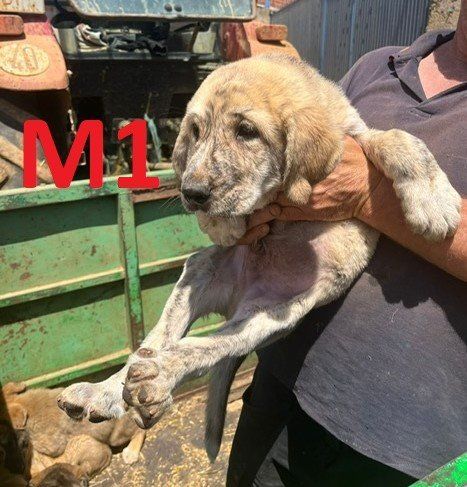 PHOTO 2024 06 27 13 47 39