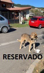 Prioro (LEON)