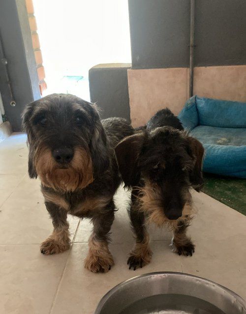 PHOTO 2024 08 28 13 07 19