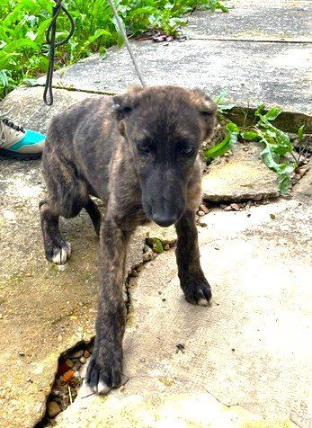 PHOTO 2023 03 22 11 47 51