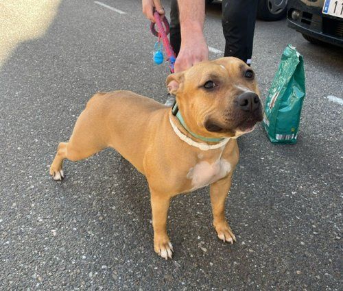 PHOTO 2025 04 09 17 55 46