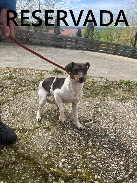 photo 2025 04 21 12 21 31