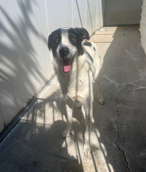 PHOTO 2025 09 30 16 47 00