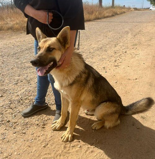 PHOTO 2025 09 03 12 16 57