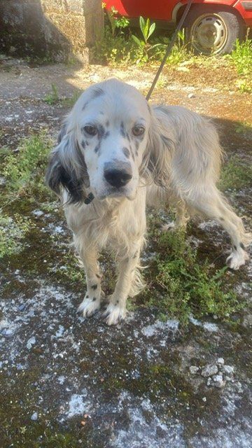 PHOTO 2024 05 07 11 15 46